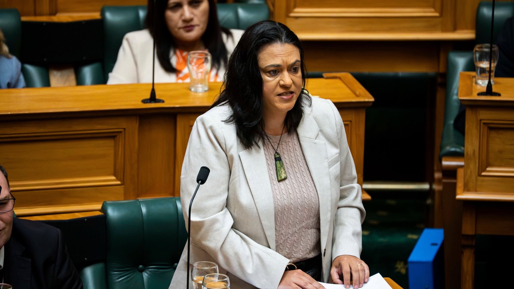 ACT MP Karen Chour. (Supplied phoot)