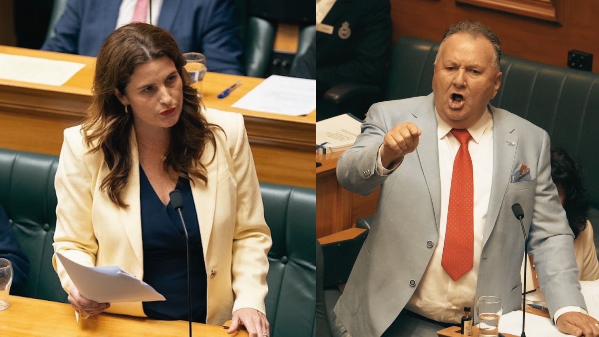 Finance minister Nicola Willis and NZ First's Shane Jones.