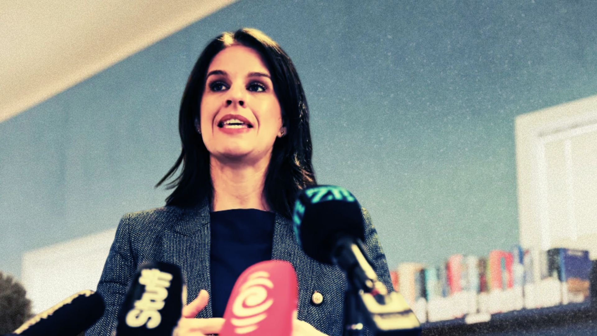 Erica Stanford wants to flush out overstayers. Political thinkers have long warned about this playbook